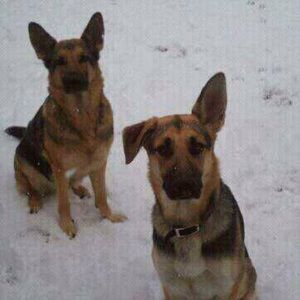 Meet your Posher, Shane